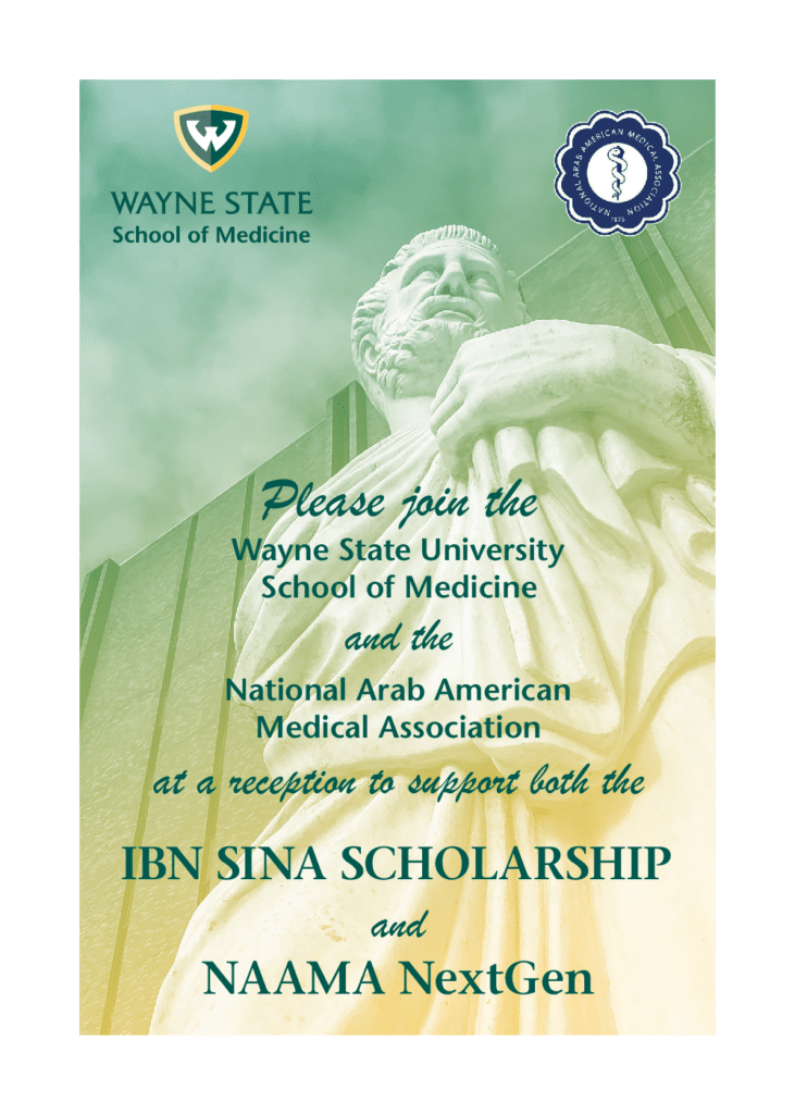 Ibn Sina Scholarship 2023